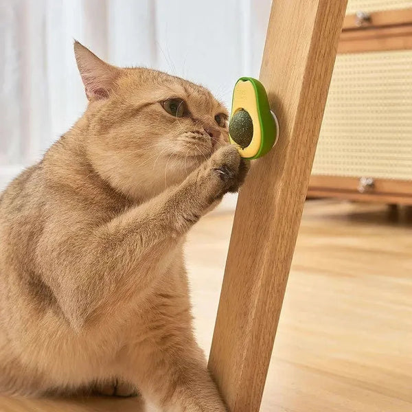 Avocat-do™ — La bola de catnip que tu gato no puede ignorar